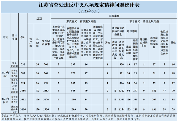2025.5查处四风问题统计表(对外发布)_对外发布.png